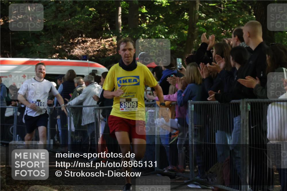 28.09.2025 - 33. Volkslauf durch das schöne Alstertal Strokosch-Dieckow http://msf.ph/oto/8965131 28.09.2025 11:18:43 Ziel 1501, 3419, 3909 meine-sportfotos.de