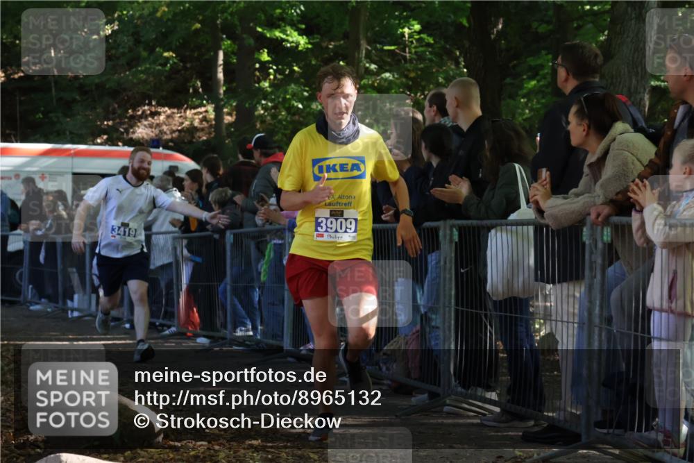 28.09.2025 - 33. Volkslauf durch das schöne Alstertal Strokosch-Dieckow http://msf.ph/oto/8965132 28.09.2025 11:18:43 Ziel 1501, 3419, 3909 meine-sportfotos.de
