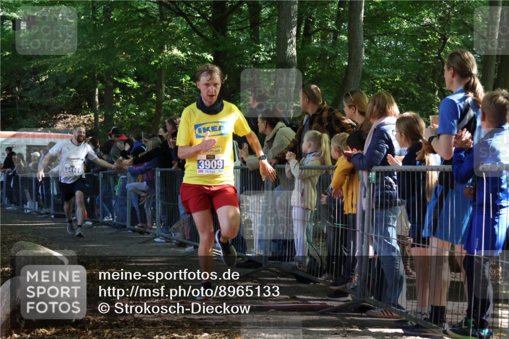 28.09.2025 - 33. Volkslauf durch das schöne Alstertal Strokosch-Dieckow http://msf.ph/oto/8965133 28.09.2025 11:18:44 Ziel 1501, 3419, 3909 meine-sportfotos.de