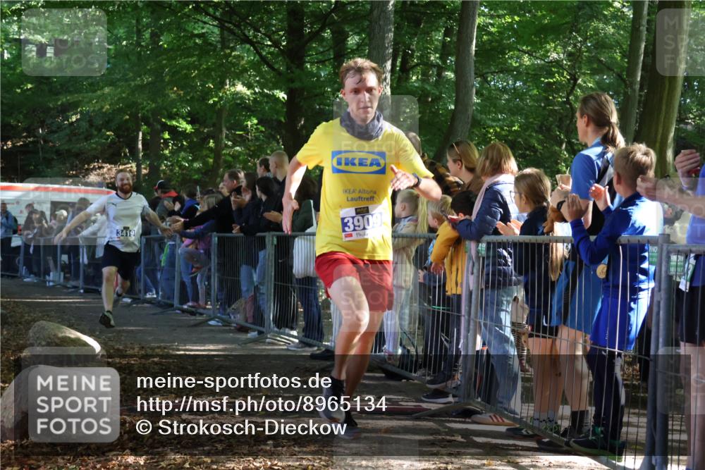 28.09.2025 - 33. Volkslauf durch das schöne Alstertal Strokosch-Dieckow http://msf.ph/oto/8965134 28.09.2025 11:18:44 Ziel 1501, 3419, 3909 meine-sportfotos.de