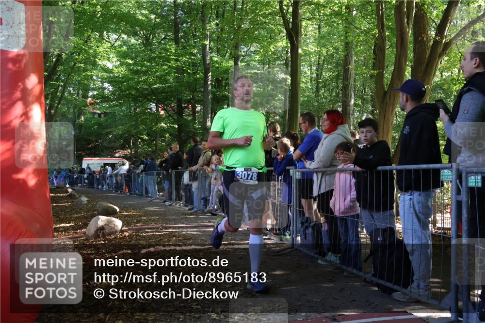 28.09.2025 - 33. Volkslauf durch das schöne Alstertal Strokosch-Dieckow http://msf.ph/oto/8965183 28.09.2025 11:19:27 Ziel 3078 meine-sportfotos.de