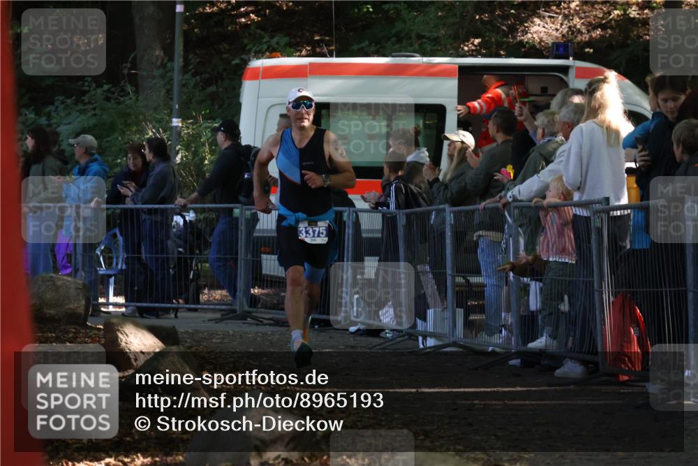28.09.2025 - 33. Volkslauf durch das schöne Alstertal Strokosch-Dieckow http://msf.ph/oto/8965193 28.09.2025 11:19:47 Ziel 3219, 3375 meine-sportfotos.de