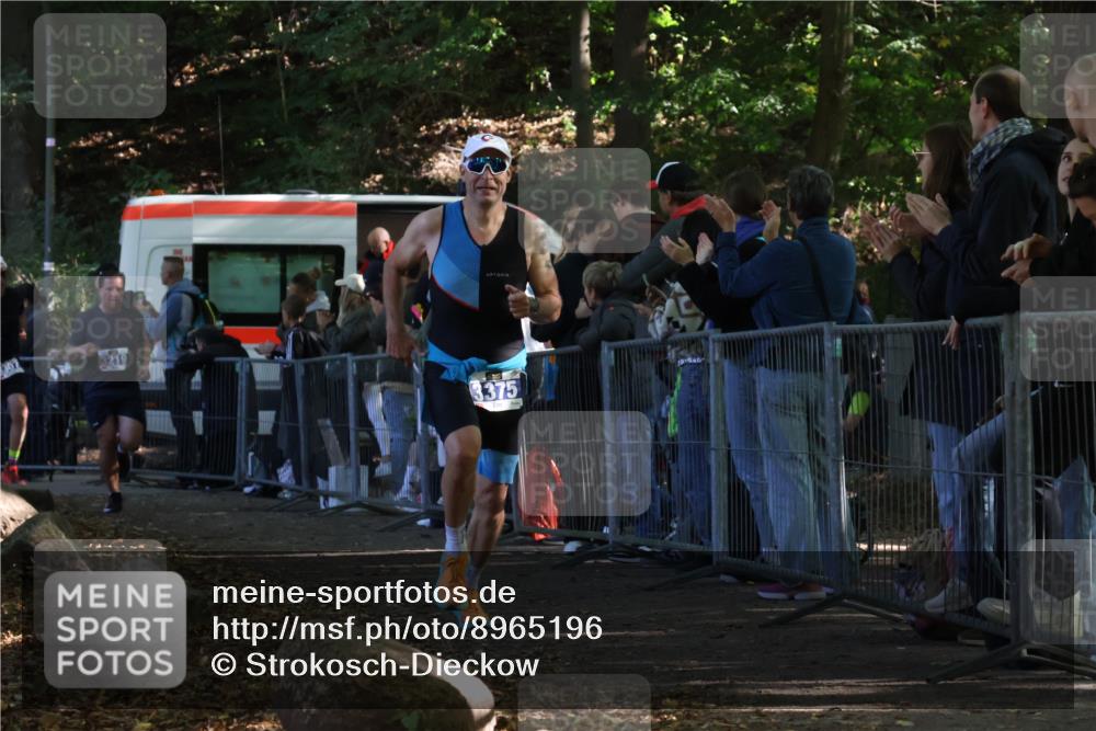 28.09.2025 - 33. Volkslauf durch das schöne Alstertal Strokosch-Dieckow http://msf.ph/oto/8965196 28.09.2025 11:19:49 Ziel 3219, 3307, 3375 meine-sportfotos.de
