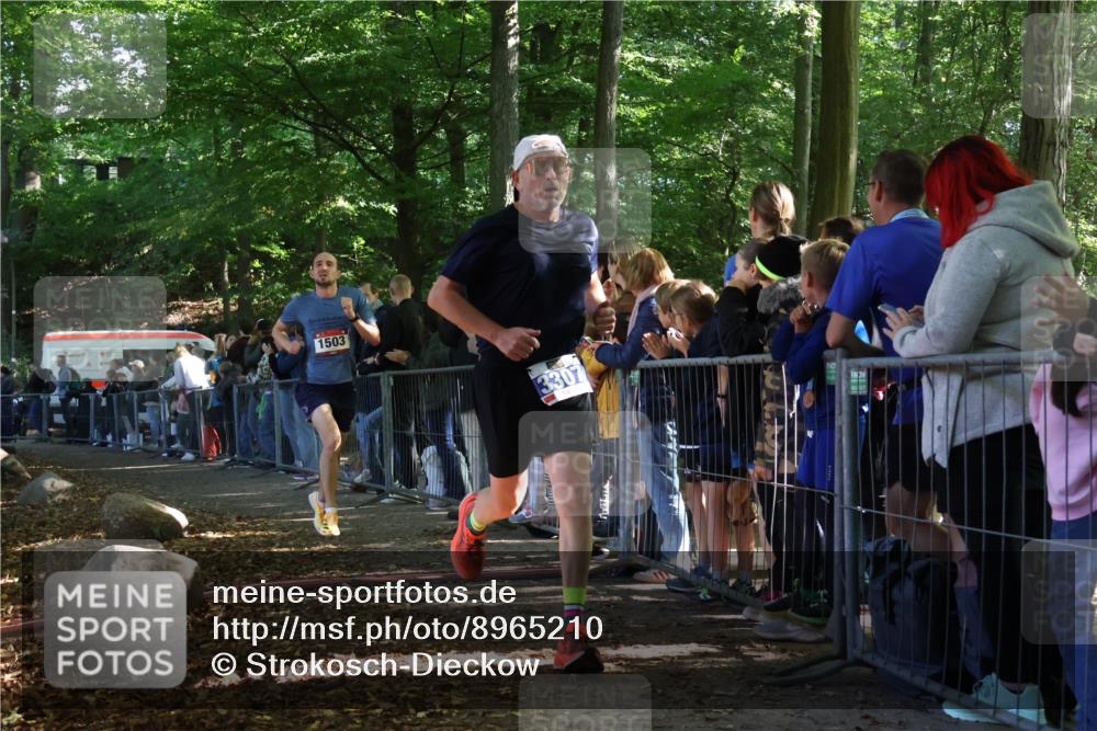 28.09.2025 - 33. Volkslauf durch das schöne Alstertal Strokosch-Dieckow http://msf.ph/oto/8965210 28.09.2025 11:19:58 Ziel 1503, 3134, 3307 meine-sportfotos.de