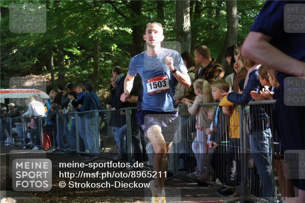 28.09.2025 - 33. Volkslauf durch das schöne Alstertal Strokosch-Dieckow http://msf.ph/oto/8965211 28.09.2025 11:19:58 Ziel 1503, 3134, 3307 meine-sportfotos.de