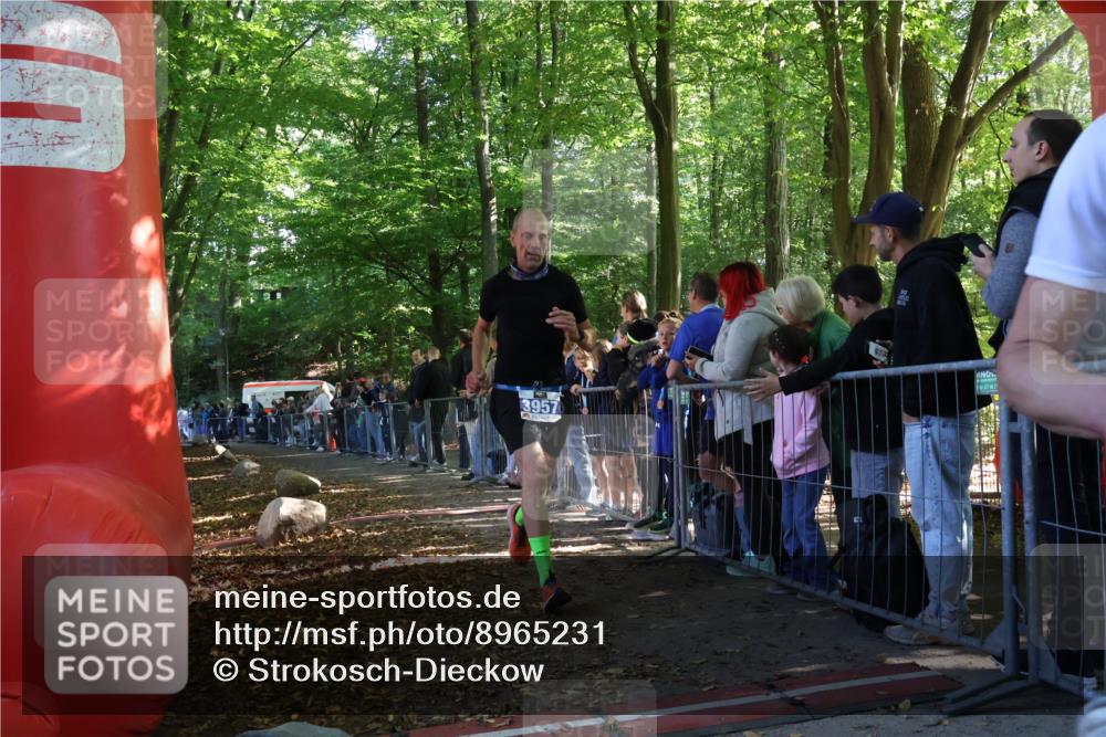 28.09.2025 - 33. Volkslauf durch das schöne Alstertal Strokosch-Dieckow http://msf.ph/oto/8965231 28.09.2025 11:20:21 Ziel 3957 meine-sportfotos.de