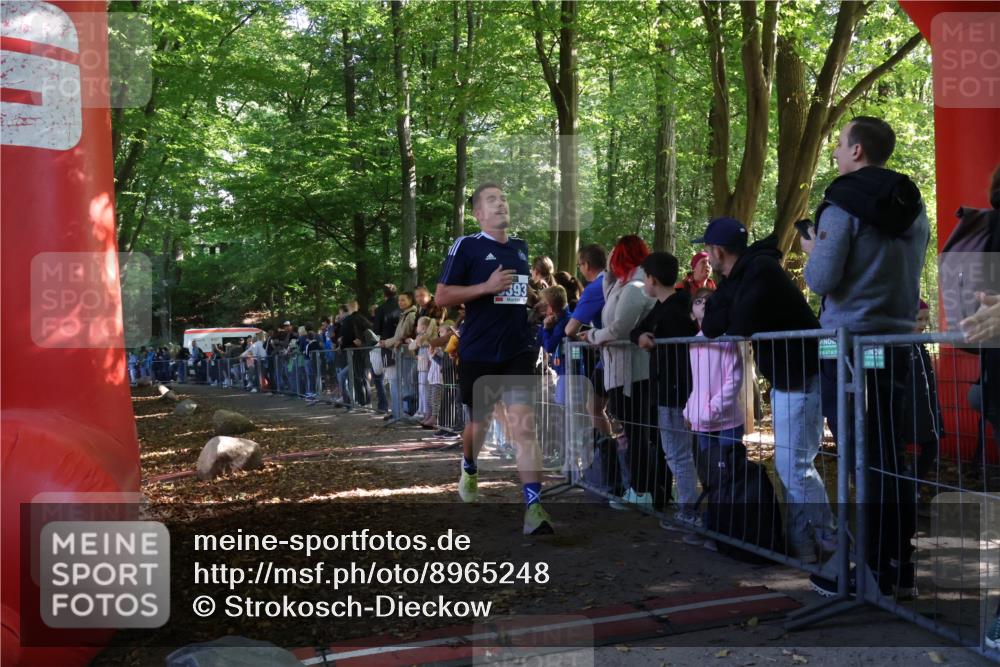 28.09.2025 - 33. Volkslauf durch das schöne Alstertal Strokosch-Dieckow http://msf.ph/oto/8965248 28.09.2025 11:20:56 Ziel 3393 meine-sportfotos.de
