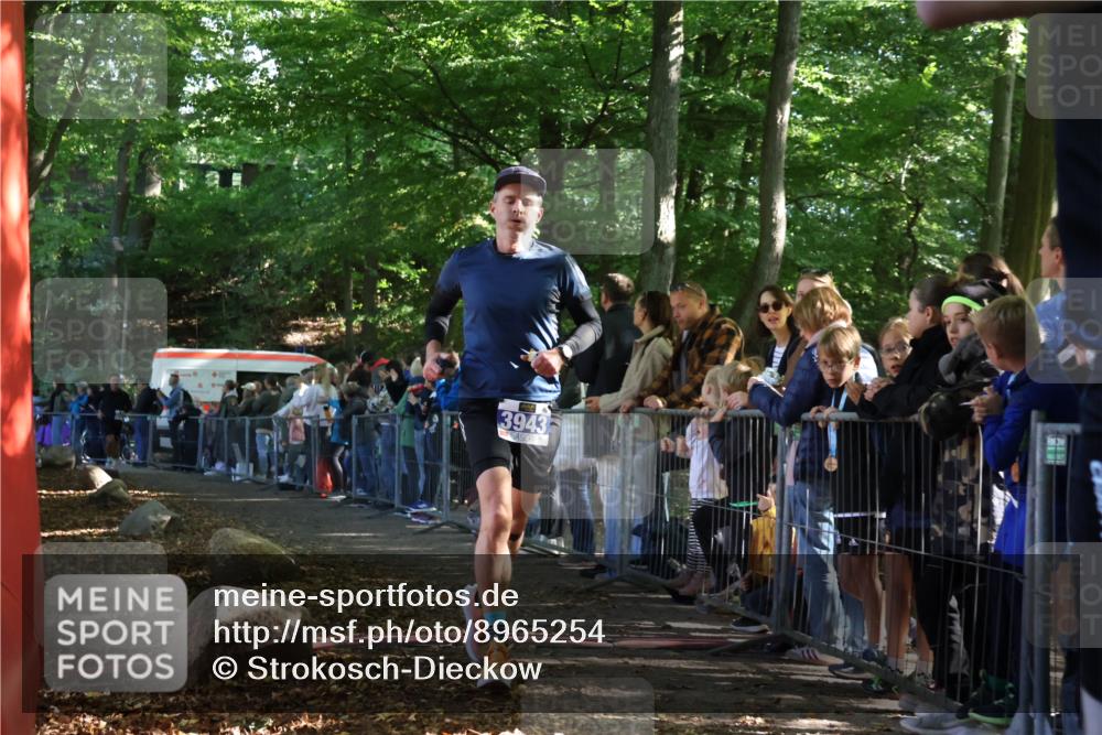 28.09.2025 - 33. Volkslauf durch das schöne Alstertal Strokosch-Dieckow http://msf.ph/oto/8965254 28.09.2025 11:21:20 Ziel 1504, 3178, 3943 meine-sportfotos.de
