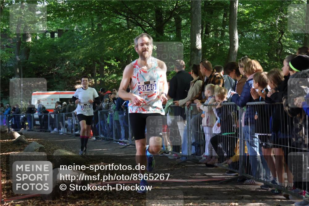 28.09.2025 - 33. Volkslauf durch das schöne Alstertal Strokosch-Dieckow http://msf.ph/oto/8965267 28.09.2025 11:21:31 Ziel 3046, 3396 meine-sportfotos.de