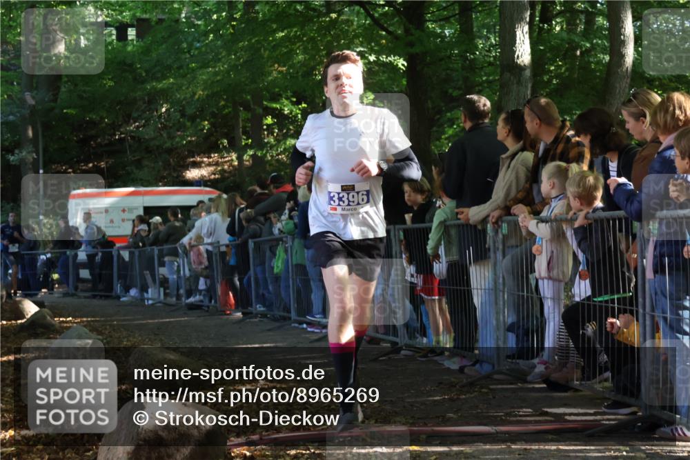 28.09.2025 - 33. Volkslauf durch das schöne Alstertal Strokosch-Dieckow http://msf.ph/oto/8965269 28.09.2025 11:21:32 Ziel 3046, 3387, 3396 meine-sportfotos.de