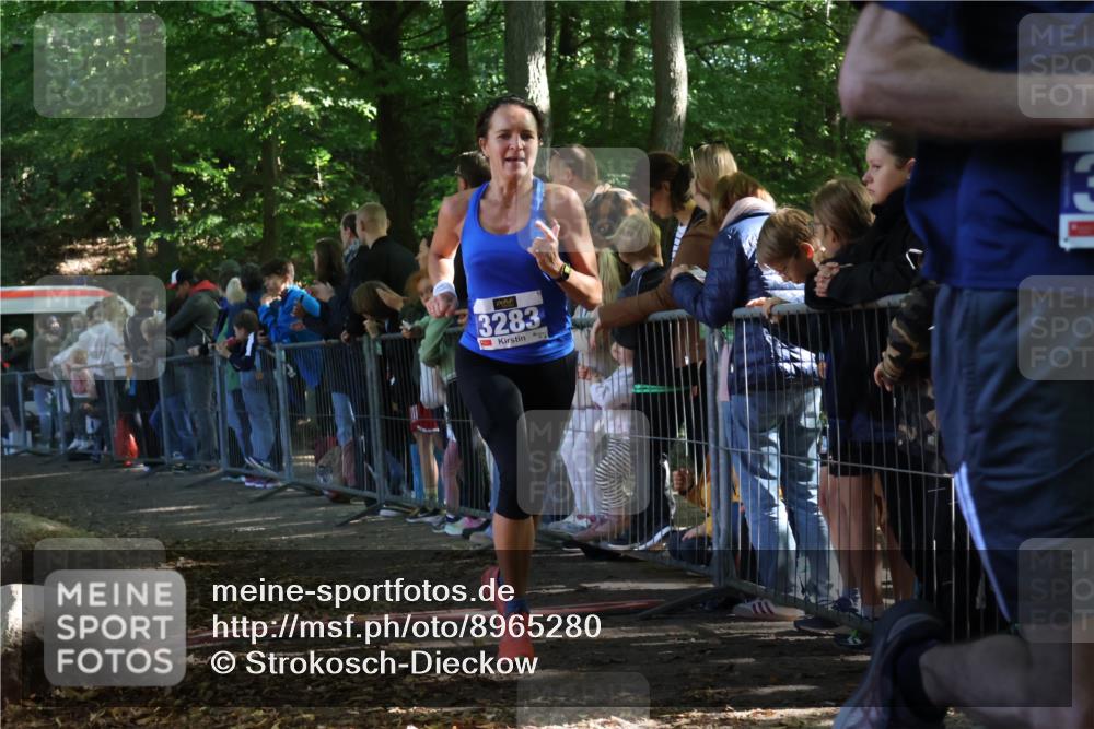 28.09.2025 - 33. Volkslauf durch das schöne Alstertal Strokosch-Dieckow http://msf.ph/oto/8965280 28.09.2025 11:21:42 Ziel 3283, 3387, 3916 meine-sportfotos.de