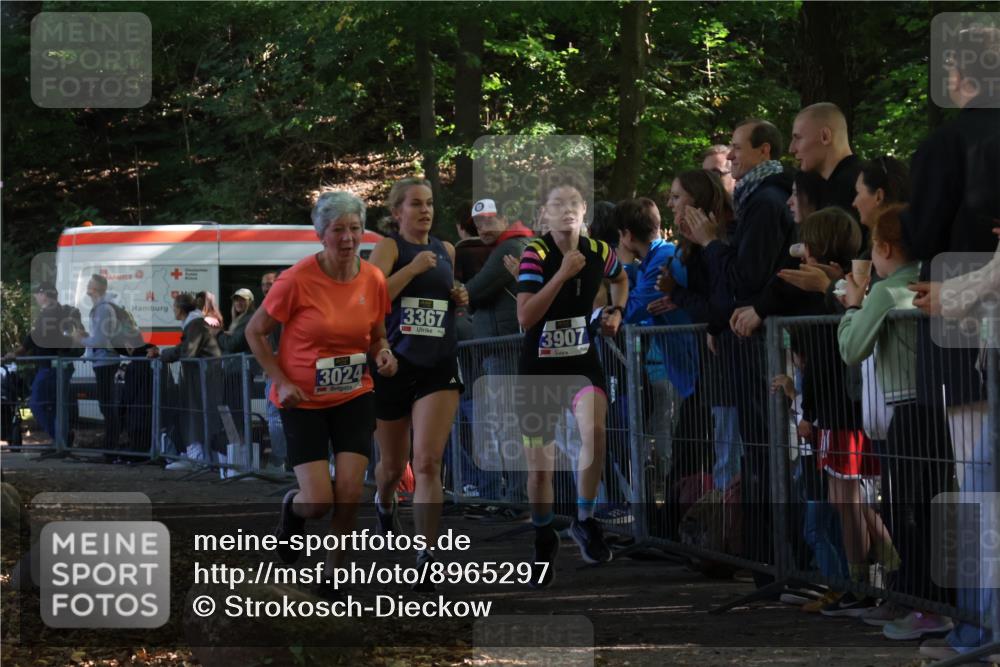 28.09.2025 - 33. Volkslauf durch das schöne Alstertal Strokosch-Dieckow http://msf.ph/oto/8965297 28.09.2025 11:22:00 Ziel 3024, 3367, 3907 meine-sportfotos.de