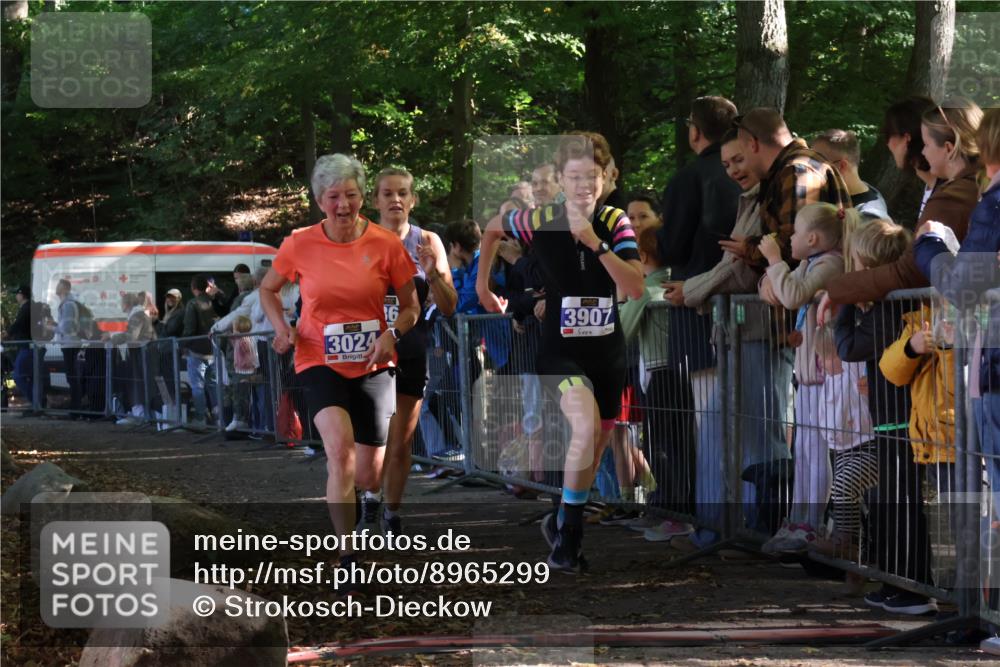 28.09.2025 - 33. Volkslauf durch das schöne Alstertal Strokosch-Dieckow http://msf.ph/oto/8965299 28.09.2025 11:22:01 Ziel 3024, 3367, 3907 meine-sportfotos.de