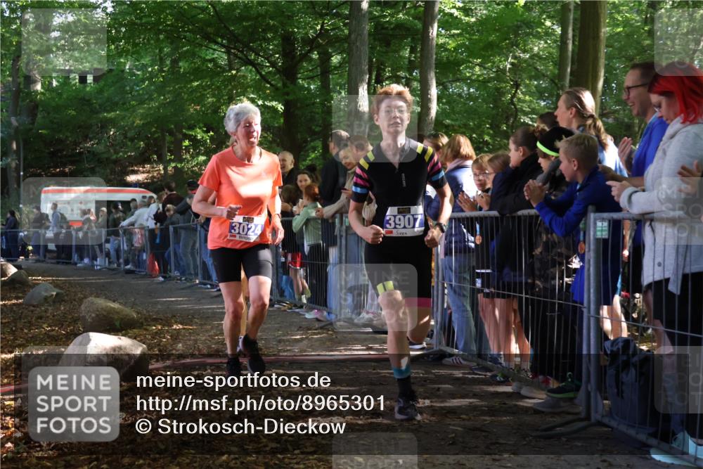 28.09.2025 - 33. Volkslauf durch das schöne Alstertal Strokosch-Dieckow http://msf.ph/oto/8965301 28.09.2025 11:22:02 Ziel 3024, 3367, 3907 meine-sportfotos.de