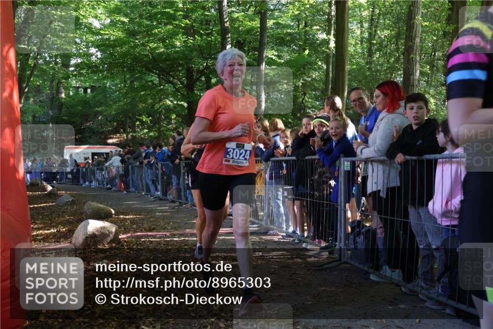 28.09.2025 - 33. Volkslauf durch das schöne Alstertal Strokosch-Dieckow http://msf.ph/oto/8965303 28.09.2025 11:22:03 Ziel 3024, 3367, 3907 meine-sportfotos.de
