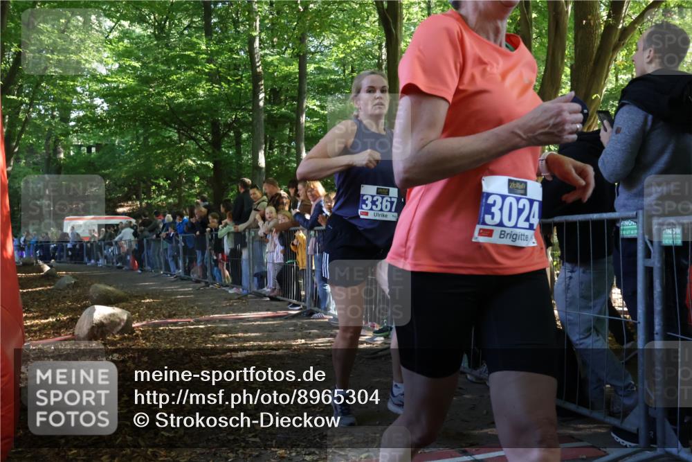 28.09.2025 - 33. Volkslauf durch das schöne Alstertal Strokosch-Dieckow http://msf.ph/oto/8965304 28.09.2025 11:22:03 Ziel 3024, 3367, 3907 meine-sportfotos.de