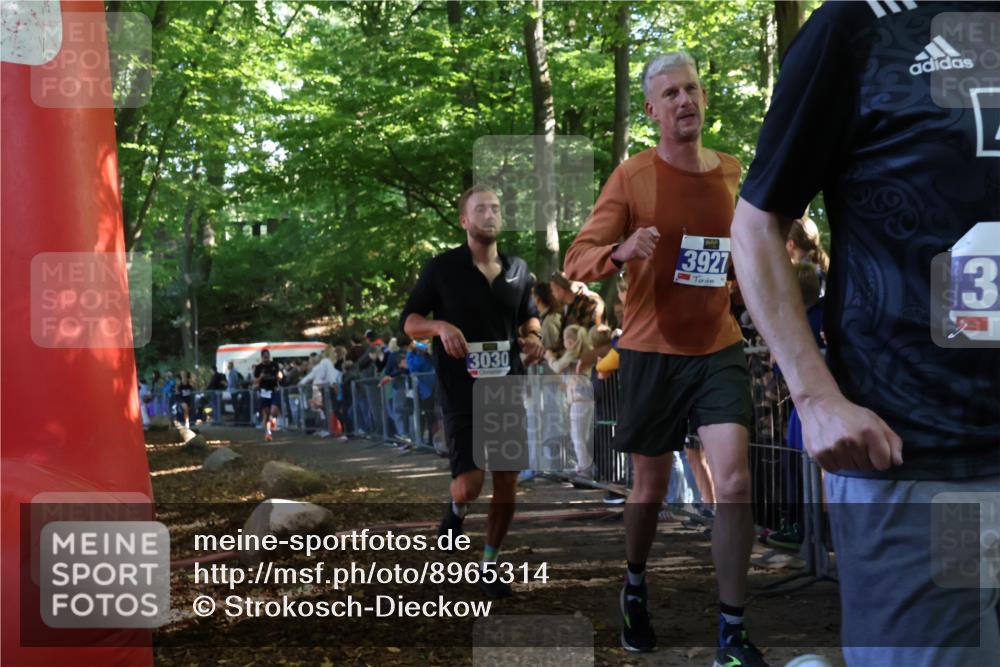 28.09.2025 - 33. Volkslauf durch das schöne Alstertal Strokosch-Dieckow http://msf.ph/oto/8965314 28.09.2025 11:22:19 Ziel 3030, 3292, 3295, 3335, 3927 meine-sportfotos.de