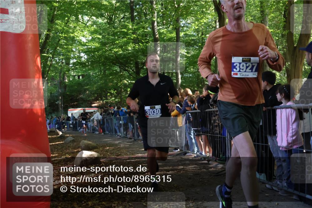 28.09.2025 - 33. Volkslauf durch das schöne Alstertal Strokosch-Dieckow http://msf.ph/oto/8965315 28.09.2025 11:22:20 Ziel 3030, 3295, 3335, 3927 meine-sportfotos.de