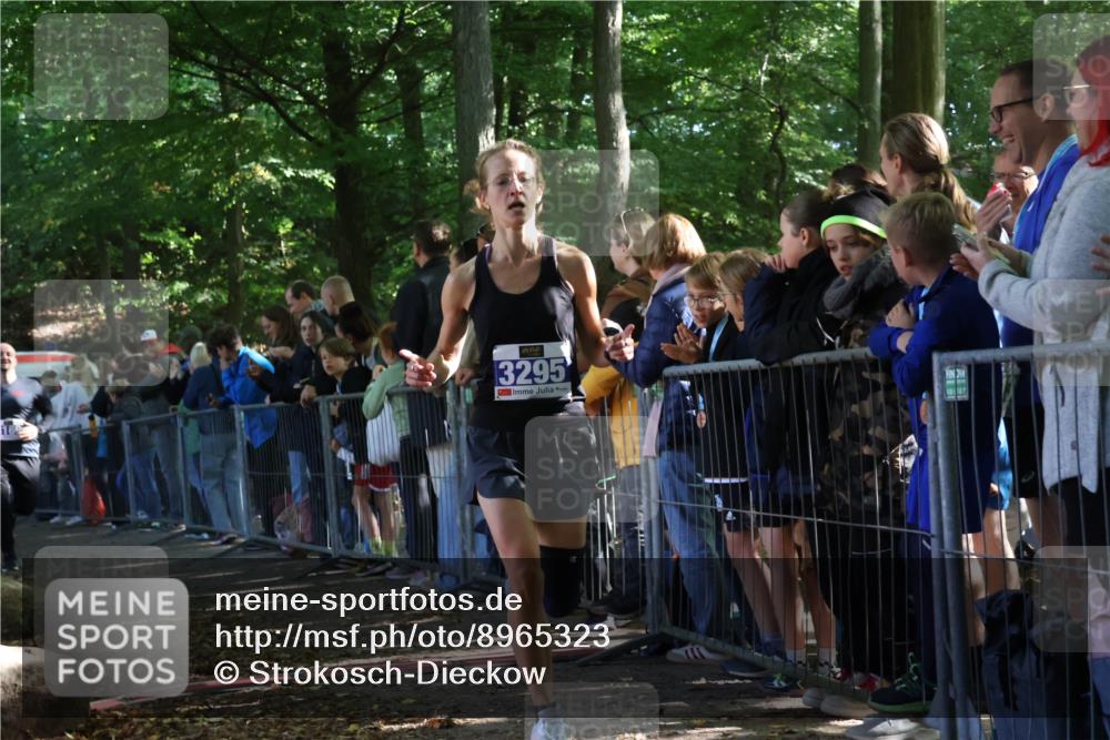 28.09.2025 - 33. Volkslauf durch das schöne Alstertal Strokosch-Dieckow http://msf.ph/oto/8965323 28.09.2025 11:22:27 Ziel 3014, 3169, 3295, 3316, 3331 meine-sportfotos.de