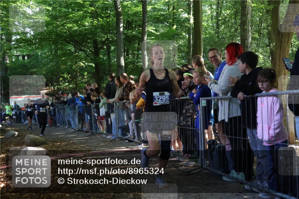 28.09.2025 - 33. Volkslauf durch das schöne Alstertal Strokosch-Dieckow http://msf.ph/oto/8965324 28.09.2025 11:22:27 Ziel 3014, 3169, 3295, 3316, 3331 meine-sportfotos.de
