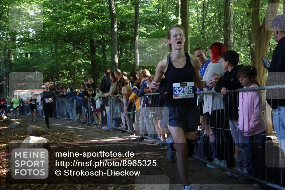 28.09.2025 - 33. Volkslauf durch das schöne Alstertal Strokosch-Dieckow http://msf.ph/oto/8965325 28.09.2025 11:22:27 Ziel 3014, 3169, 3295, 3316, 3331 meine-sportfotos.de