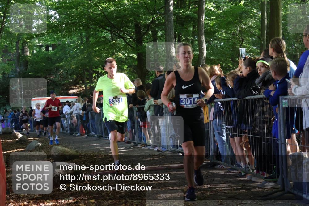 28.09.2025 - 33. Volkslauf durch das schöne Alstertal Strokosch-Dieckow http://msf.ph/oto/8965333 28.09.2025 11:22:32 Ziel 3014, 3019, 3136, 3190, 3223, 3316, 3331, 3381 meine-sportfotos.de