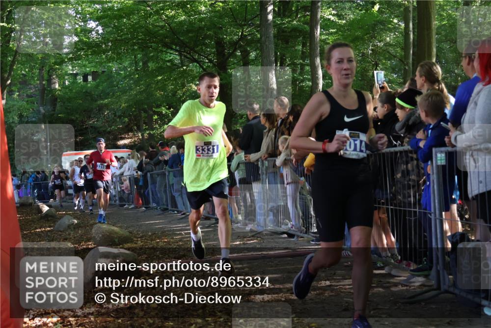 28.09.2025 - 33. Volkslauf durch das schöne Alstertal Strokosch-Dieckow http://msf.ph/oto/8965334 28.09.2025 11:22:32 Ziel 3014, 3019, 3136, 3190, 3223, 3316, 3331, 3381 meine-sportfotos.de