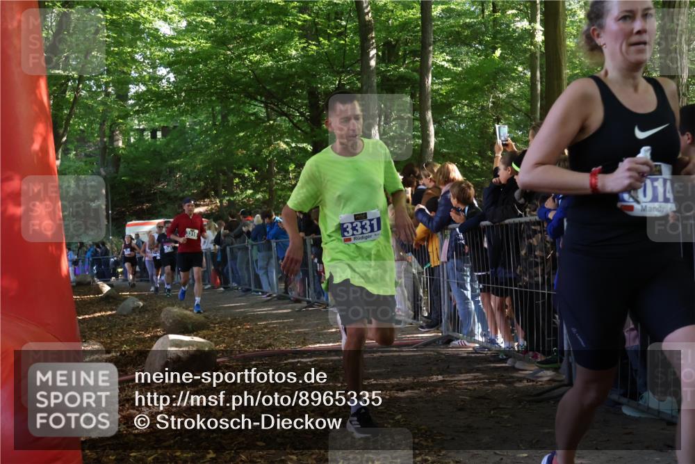 28.09.2025 - 33. Volkslauf durch das schöne Alstertal Strokosch-Dieckow http://msf.ph/oto/8965335 28.09.2025 11:22:32 Ziel 3014, 3019, 3136, 3190, 3223, 3316, 3331, 3381 meine-sportfotos.de