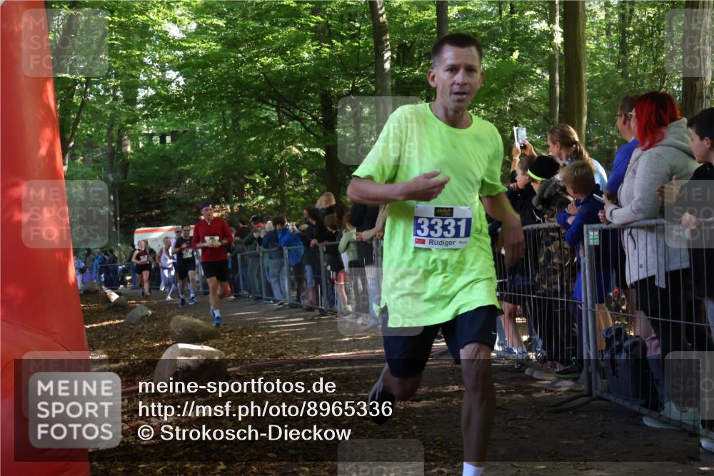 28.09.2025 - 33. Volkslauf durch das schöne Alstertal Strokosch-Dieckow http://msf.ph/oto/8965336 28.09.2025 11:22:33 Ziel 3019, 3136, 3190, 3223, 3316, 3331, 3381 meine-sportfotos.de
