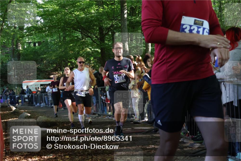 28.09.2025 - 33. Volkslauf durch das schöne Alstertal Strokosch-Dieckow http://msf.ph/oto/8965341 28.09.2025 11:22:36 Ziel 3019, 3136, 3190, 3223, 3316, 3381, 3411 meine-sportfotos.de