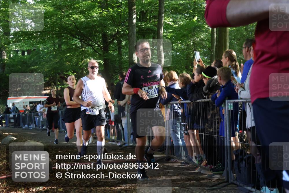 28.09.2025 - 33. Volkslauf durch das schöne Alstertal Strokosch-Dieckow http://msf.ph/oto/8965342 28.09.2025 11:22:37 Ziel 3019, 3136, 3190, 3223, 3381, 3411 meine-sportfotos.de
