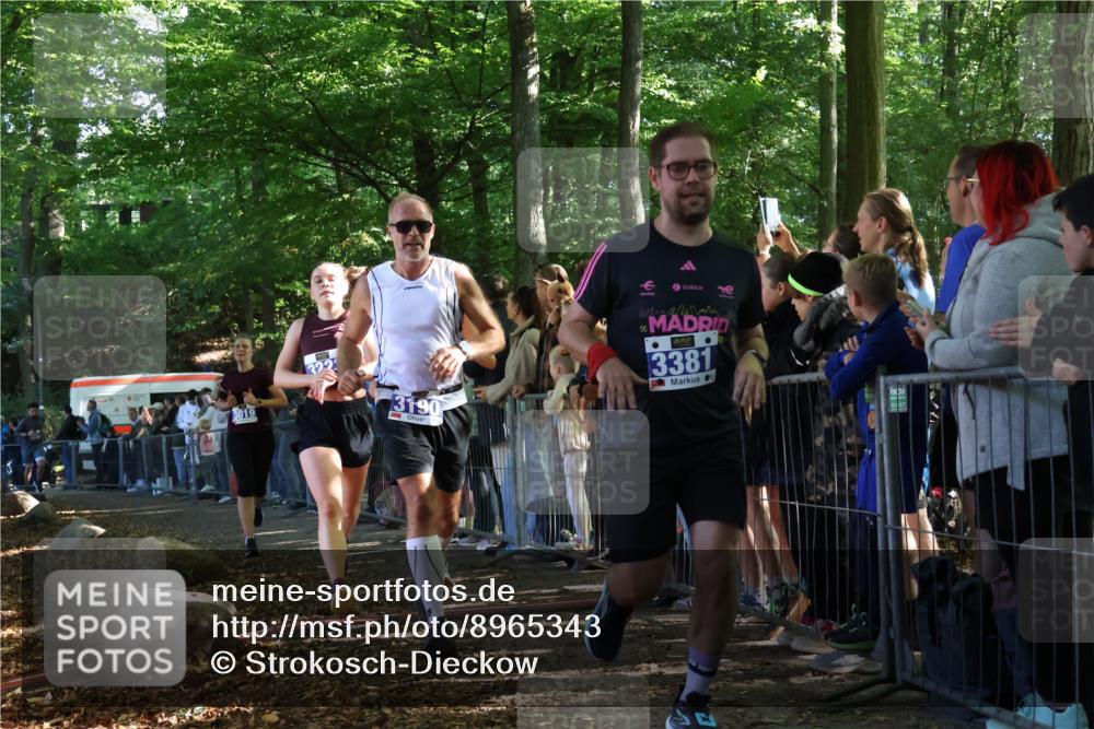 28.09.2025 - 33. Volkslauf durch das schöne Alstertal Strokosch-Dieckow http://msf.ph/oto/8965343 28.09.2025 11:22:37 Ziel 3019, 3136, 3190, 3223, 3381, 3411 meine-sportfotos.de