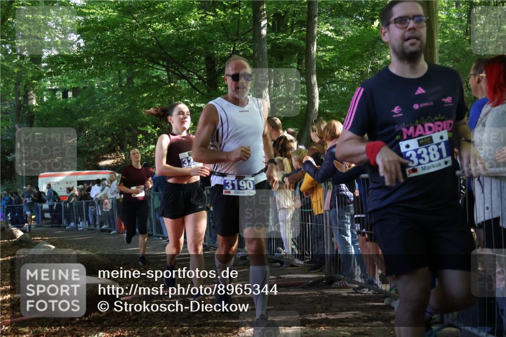 28.09.2025 - 33. Volkslauf durch das schöne Alstertal Strokosch-Dieckow http://msf.ph/oto/8965344 28.09.2025 11:22:37 Ziel 3019, 3136, 3190, 3223, 3381, 3411 meine-sportfotos.de