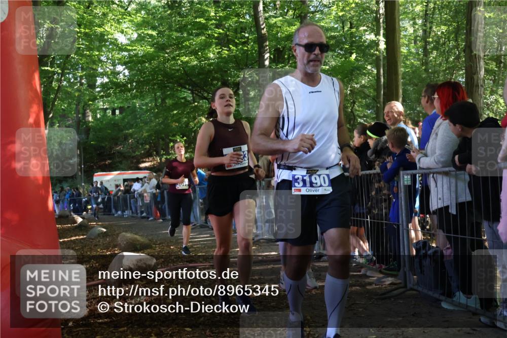 28.09.2025 - 33. Volkslauf durch das schöne Alstertal Strokosch-Dieckow http://msf.ph/oto/8965345 28.09.2025 11:22:38 Ziel 3019, 3136, 3190, 3223, 3381, 3411 meine-sportfotos.de