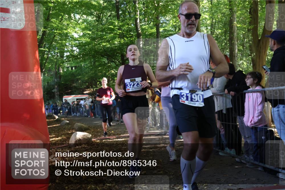 28.09.2025 - 33. Volkslauf durch das schöne Alstertal Strokosch-Dieckow http://msf.ph/oto/8965346 28.09.2025 11:22:38 Ziel 3019, 3136, 3190, 3223, 3381, 3411 meine-sportfotos.de