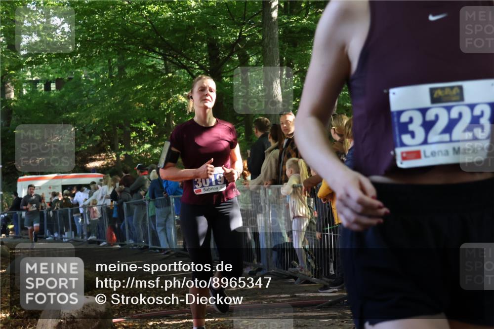 28.09.2025 - 33. Volkslauf durch das schöne Alstertal Strokosch-Dieckow http://msf.ph/oto/8965347 28.09.2025 11:22:39 Ziel 3019, 3136, 3223, 3411 meine-sportfotos.de