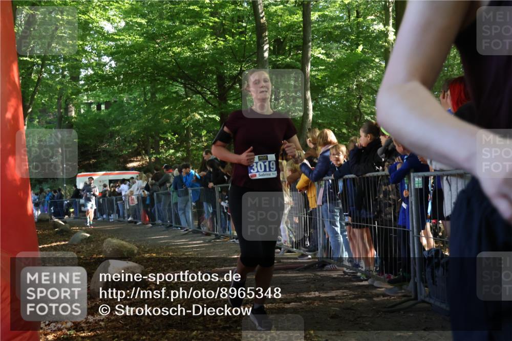 28.09.2025 - 33. Volkslauf durch das schöne Alstertal Strokosch-Dieckow http://msf.ph/oto/8965348 28.09.2025 11:22:39 Ziel 3019, 3136, 3223, 3411 meine-sportfotos.de