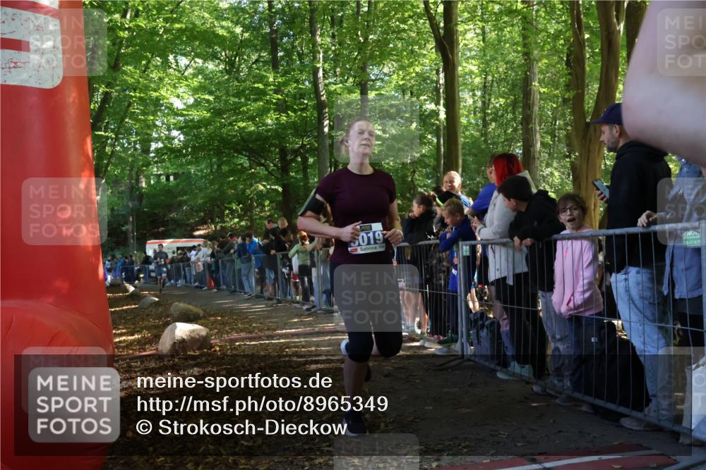 28.09.2025 - 33. Volkslauf durch das schöne Alstertal Strokosch-Dieckow http://msf.ph/oto/8965349 28.09.2025 11:22:40 Ziel 3019, 3411 meine-sportfotos.de