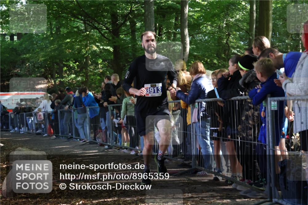28.09.2025 - 33. Volkslauf durch das schöne Alstertal Strokosch-Dieckow http://msf.ph/oto/8965359 28.09.2025 11:22:51 Ziel 3042, 3913, 3941 meine-sportfotos.de