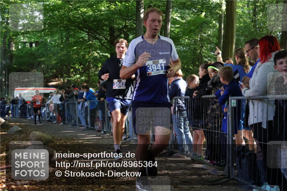 28.09.2025 - 33. Volkslauf durch das schöne Alstertal Strokosch-Dieckow http://msf.ph/oto/8965364 28.09.2025 11:23:00 Ziel 3042, 3418, 3941 meine-sportfotos.de