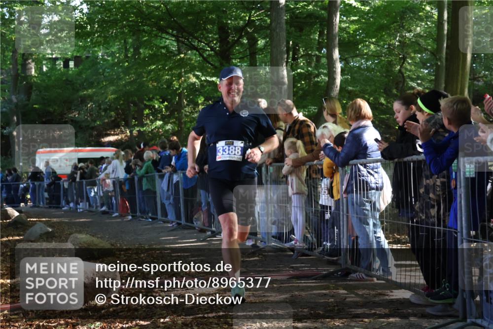 28.09.2025 - 33. Volkslauf durch das schöne Alstertal Strokosch-Dieckow http://msf.ph/oto/8965377 28.09.2025 11:23:11 Ziel 3232, 3388 meine-sportfotos.de