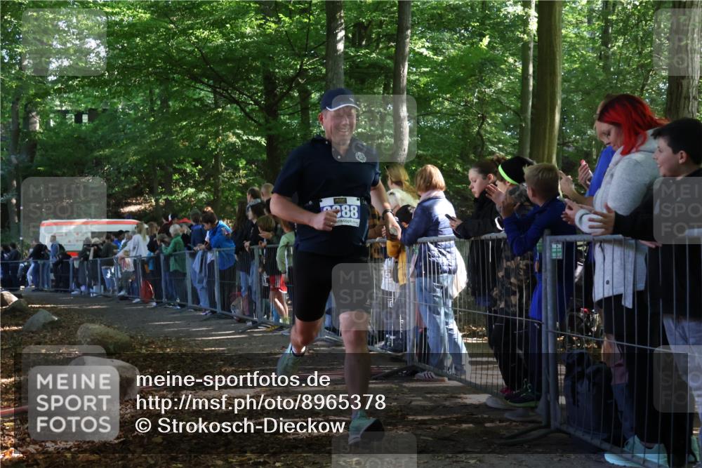 28.09.2025 - 33. Volkslauf durch das schöne Alstertal Strokosch-Dieckow http://msf.ph/oto/8965378 28.09.2025 11:23:11 Ziel 3232, 3388 meine-sportfotos.de