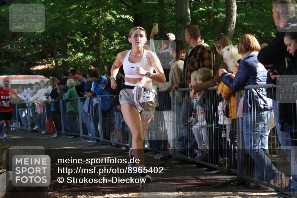 28.09.2025 - 33. Volkslauf durch das schöne Alstertal Strokosch-Dieckow http://msf.ph/oto/8965402 28.09.2025 11:23:35 Ziel 3248, 3929, 3931, 3948 meine-sportfotos.de
