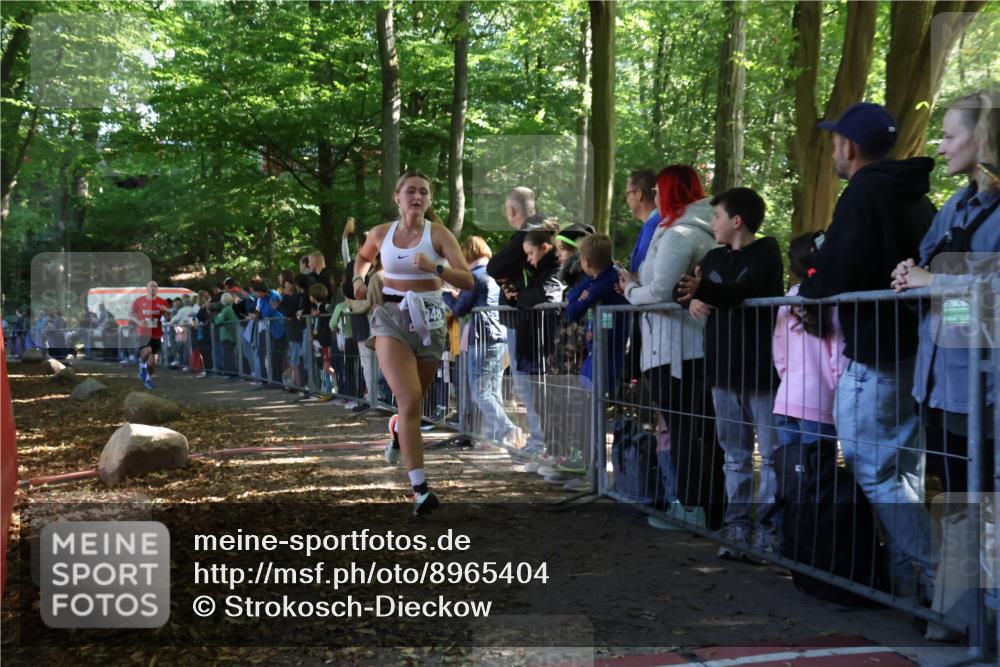 28.09.2025 - 33. Volkslauf durch das schöne Alstertal Strokosch-Dieckow http://msf.ph/oto/8965404 28.09.2025 11:23:36 Ziel 3929, 3931, 3948 meine-sportfotos.de