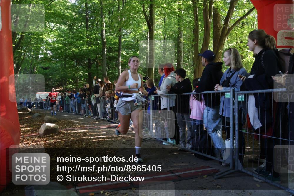 28.09.2025 - 33. Volkslauf durch das schöne Alstertal Strokosch-Dieckow http://msf.ph/oto/8965405 28.09.2025 11:23:36 Ziel 3929, 3931, 3948 meine-sportfotos.de