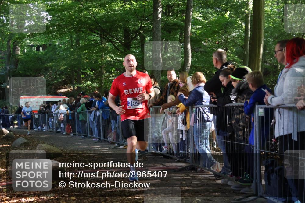 28.09.2025 - 33. Volkslauf durch das schöne Alstertal Strokosch-Dieckow http://msf.ph/oto/8965407 28.09.2025 11:23:39 Ziel 3133, 3202, 3929, 3931 meine-sportfotos.de