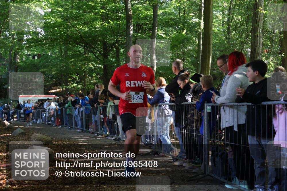 28.09.2025 - 33. Volkslauf durch das schöne Alstertal Strokosch-Dieckow http://msf.ph/oto/8965408 28.09.2025 11:23:40 Ziel 3133, 3202, 3929, 3931 meine-sportfotos.de