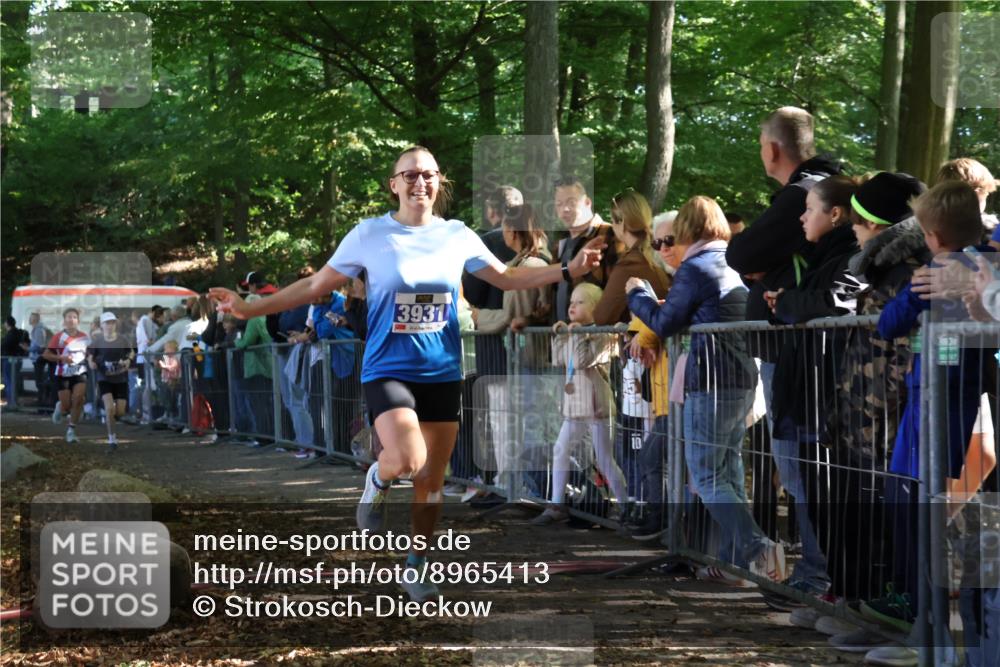 28.09.2025 - 33. Volkslauf durch das schöne Alstertal Strokosch-Dieckow http://msf.ph/oto/8965413 28.09.2025 11:23:43 Ziel 3133, 3202, 3931 meine-sportfotos.de