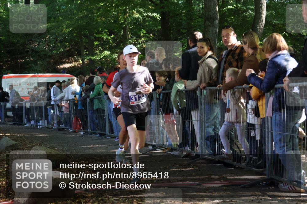 28.09.2025 - 33. Volkslauf durch das schöne Alstertal Strokosch-Dieckow http://msf.ph/oto/8965418 28.09.2025 11:23:47 Ziel 3133, 3202, 3414, 3904 meine-sportfotos.de