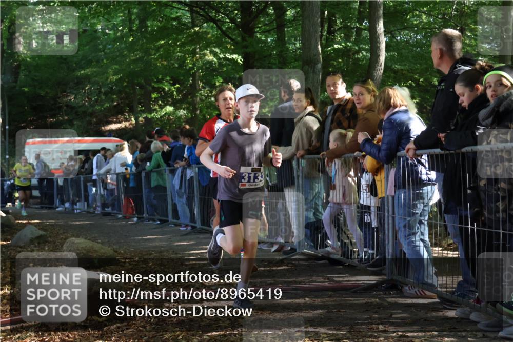 28.09.2025 - 33. Volkslauf durch das schöne Alstertal Strokosch-Dieckow http://msf.ph/oto/8965419 28.09.2025 11:23:47 Ziel 3133, 3202, 3414, 3904 meine-sportfotos.de